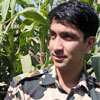 The New Advisor Udaipur